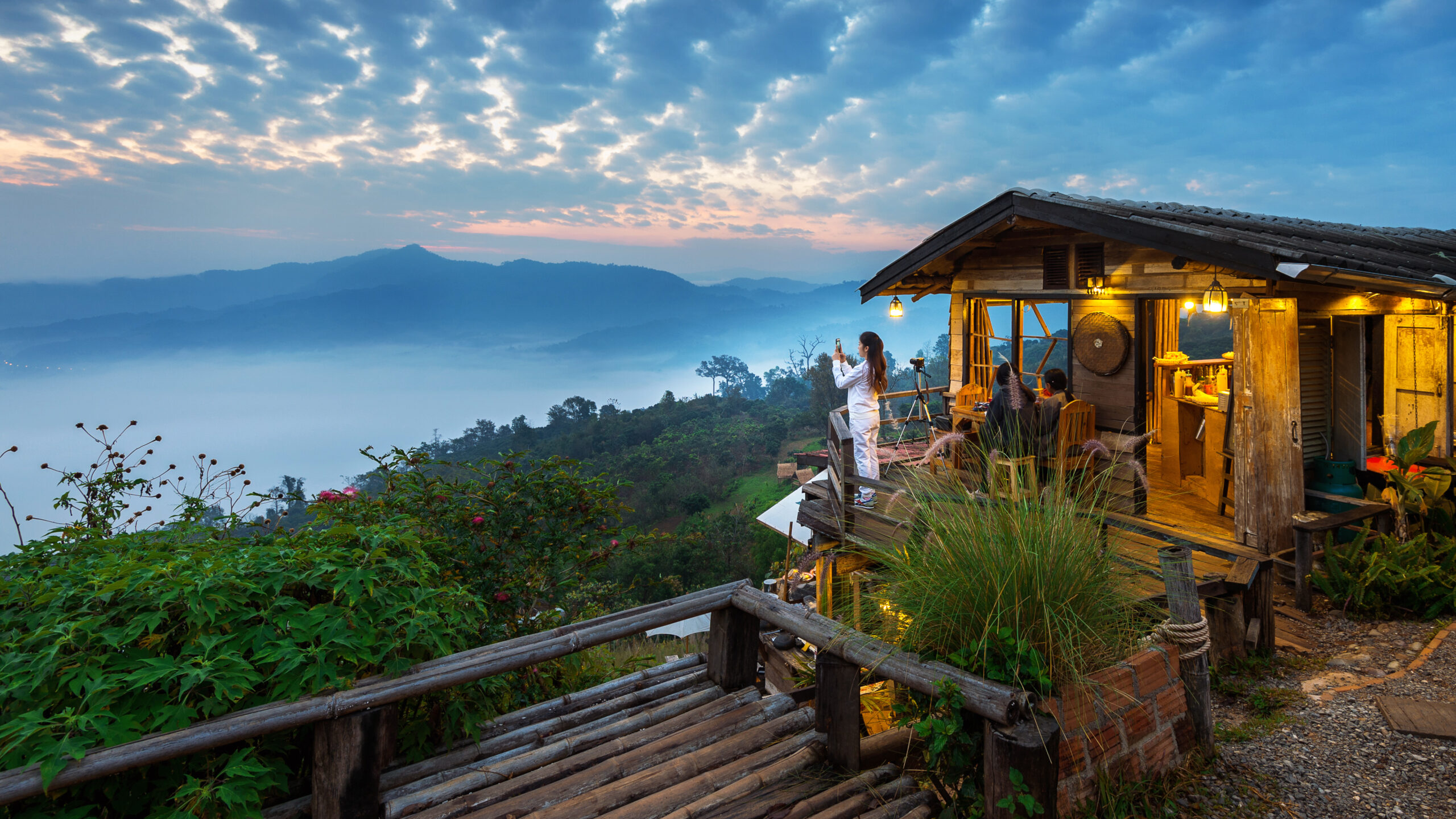 Safari Tours